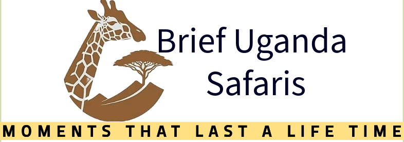 BRIEF UGANDA SAFARIS
